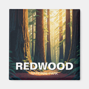 Redwood National Park California Sunlight Magnet