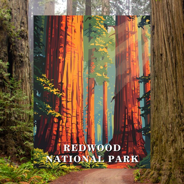 Redwood National Park, California Travel Postcard (Redwood National Park, California)