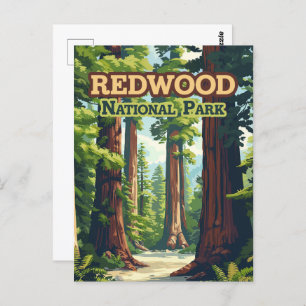 Redwood National Park California Tree Retro Postcard