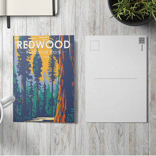 Redwood National Park California Vintage Postcard