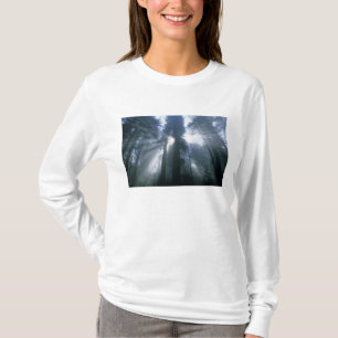 Redwood National Park, Del Norte County, foggy T-Shirt
