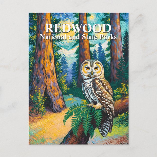 Redwood National Park Forest Owl Van Gogh Style Postcard (Front)