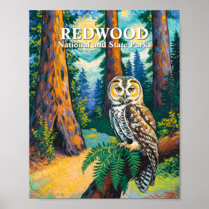 Redwood National Park Forest Owl Van Gogh Style Poster