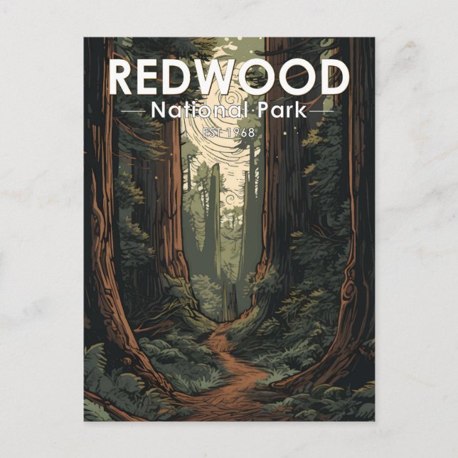 Redwood National Park Illustration Trail Vintage Postcard (Front)