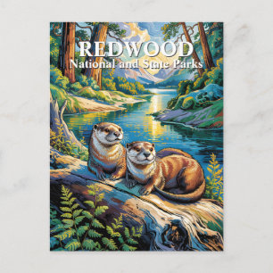 Redwood National Park Otters Modern Van Gogh Postcard