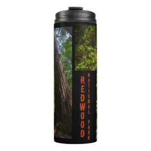 Redwood National Park Photo Thermal Tumbler