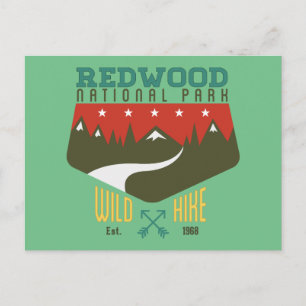 Redwood National Park Postcard