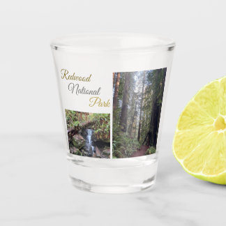 Redwood National Park Shot Glass