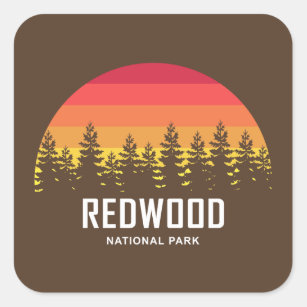 Redwood National Park Square Sticker