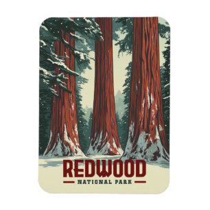 Redwood National Park - Vintage California Magnet