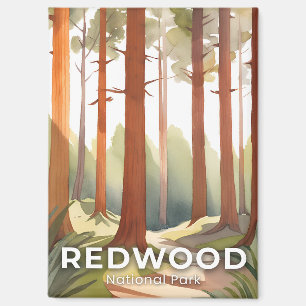 Redwood National Park   Watercolor Travel Art Magnet