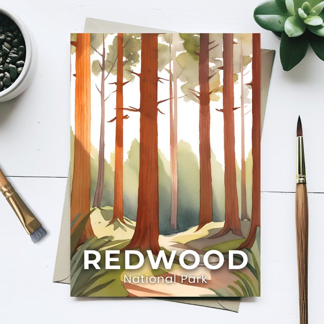 Redwood National Park | Watercolor Trees Postcard (Creator Uploaded)