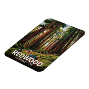 Redwood national state park, Coastal California  Magnet