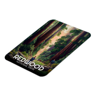 Redwood national state park, Coastal California  Magnet