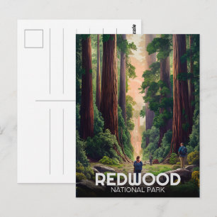 Redwood national state park, Coastal California  Postcard