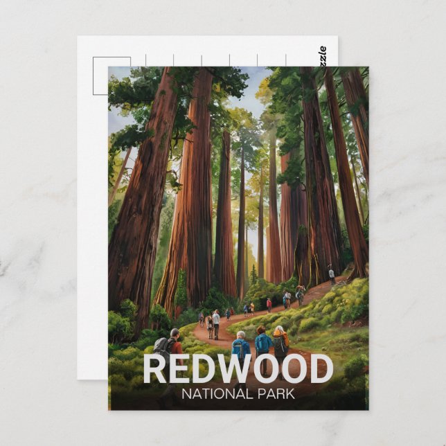 Redwood national state park, Coastal California  Postcard (Front/Back)