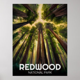 Redwood national state park, Coastal California Poster