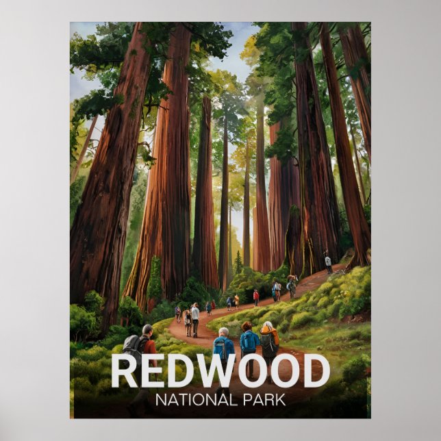 Redwood national state park, Coastal California  Poster (Front)