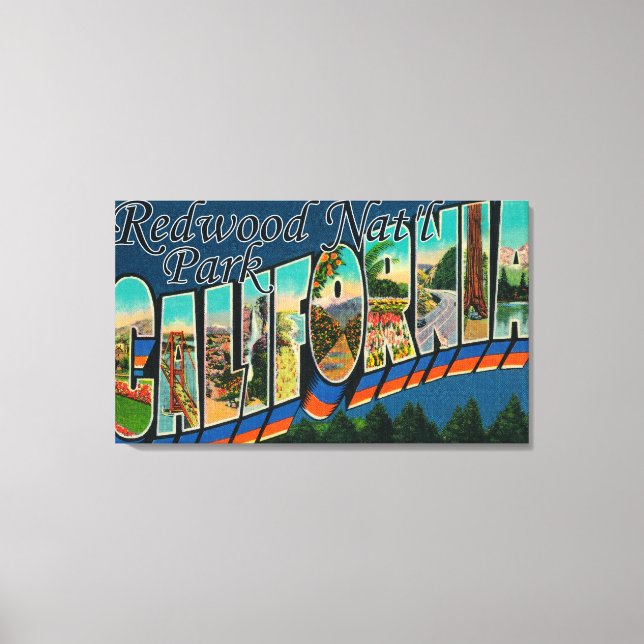 Redwood Nat'l Park, California Canvas Print (Front)