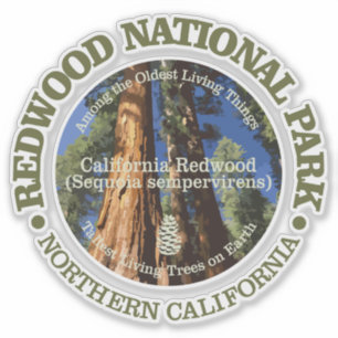 Redwood NP