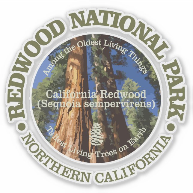 Redwood NP (Front)