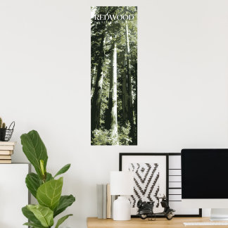 Redwood Print, National Park Poster, 12x36" Poster