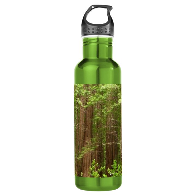 Redwood Trees at Muir Woods National Monument 710 Ml Water Bottle (Front)