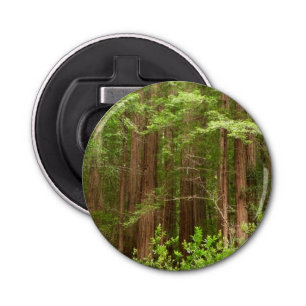 Redwood Trees at Muir Woods National Monument Bottle Opener