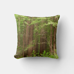 Redwood Trees at Muir Woods National Monument Cushion