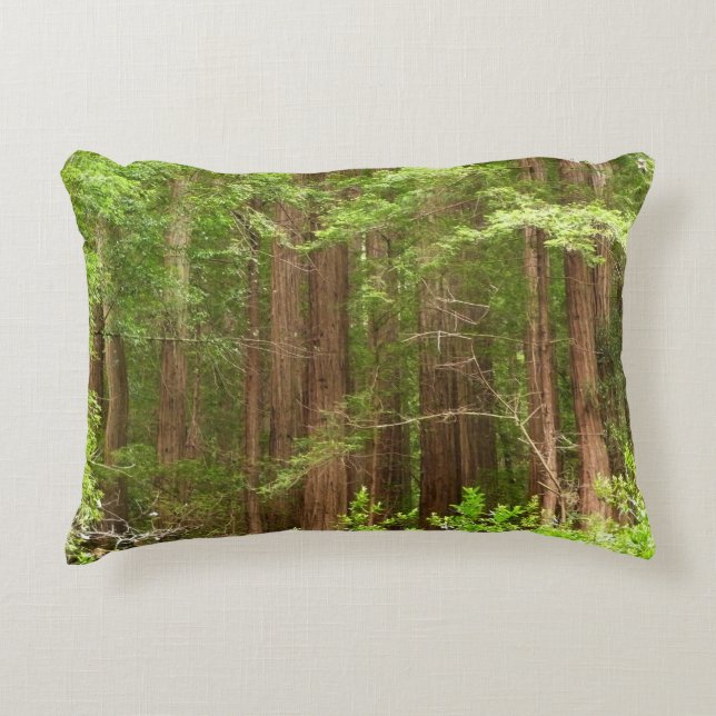 Redwood Trees at Muir Woods National Monument Decorative Cushion (Front)