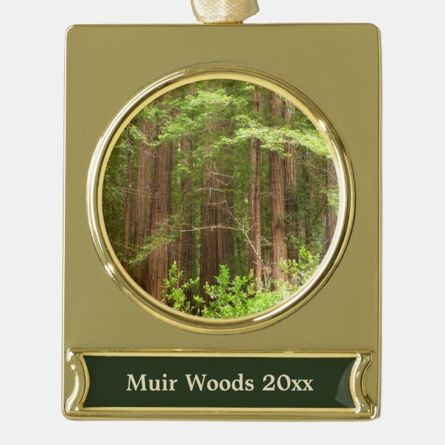 Redwood Trees at Muir Woods National Monument Gold Plated Banner Ornament (Front)