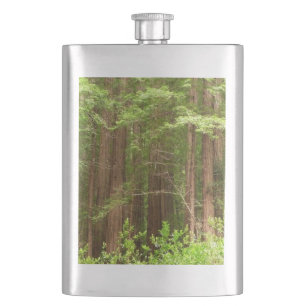 Redwood Trees at Muir Woods National Monument Hip Flask