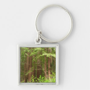 Redwood Trees at Muir Woods National Monument Key Ring