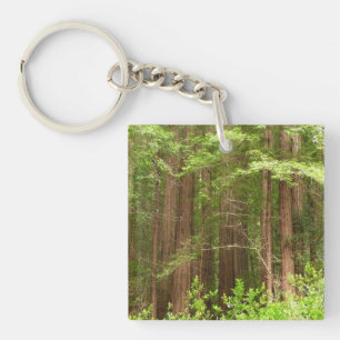 Redwood Trees at Muir Woods National Monument Key Ring