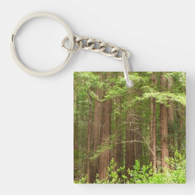Redwood Trees at Muir Woods National Monument Key Ring (Front)