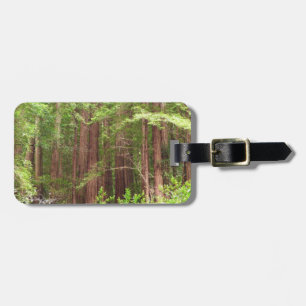 Redwood Trees at Muir Woods National Monument Luggage Tag