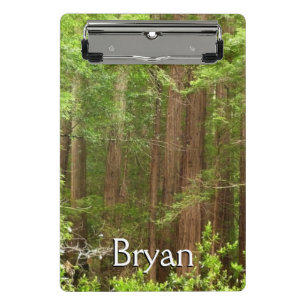 Redwood Trees at Muir Woods National Monument Mini Clipboard