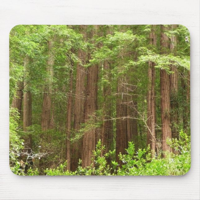 Redwood Trees at Muir Woods National Monument Mouse Pad (Front)
