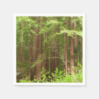 Redwood Trees at Muir Woods National Monument Napkin