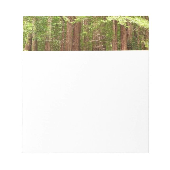 Redwood Trees at Muir Woods National Monument Notepad (Front)