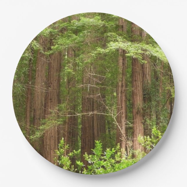 Redwood Trees at Muir Woods National Monument Paper Plate (Front)