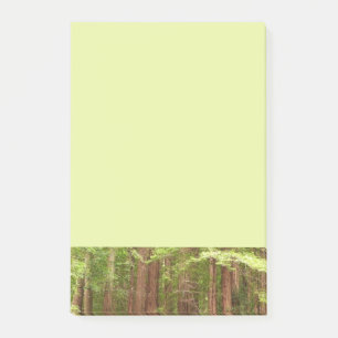 Redwood Trees at Muir Woods National Monument Post-it Notes