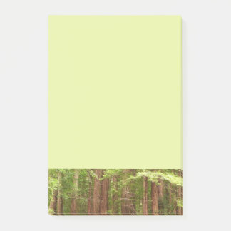 Redwood Trees at Muir Woods National Monument Post-it Notes