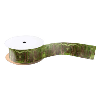 Redwood Trees at Muir Woods National Monument Satin Ribbon