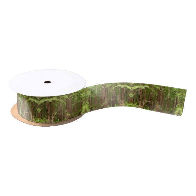 Redwood Trees at Muir Woods National Monument Satin Ribbon (Spool)