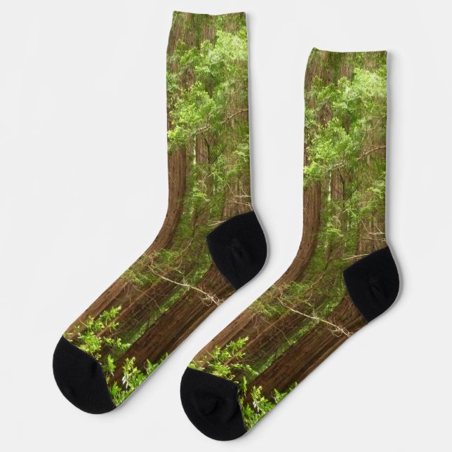 Redwood Trees at Muir Woods National Monument Socks (Left)
