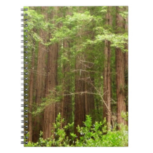 Redwood Trees at Muir Woods National Monument Spiral Notebook