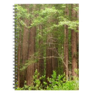 Redwood Trees at Muir Woods National Monument Spiral Notebook