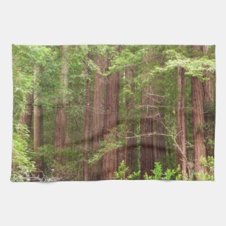Redwood Trees at Muir Woods National Monument Tea Towel