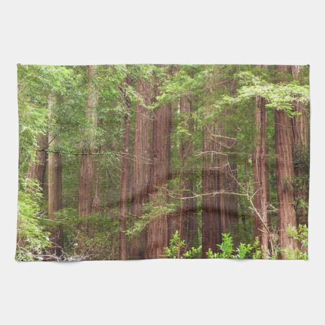 Redwood Trees at Muir Woods National Monument Tea Towel (Horizontal)